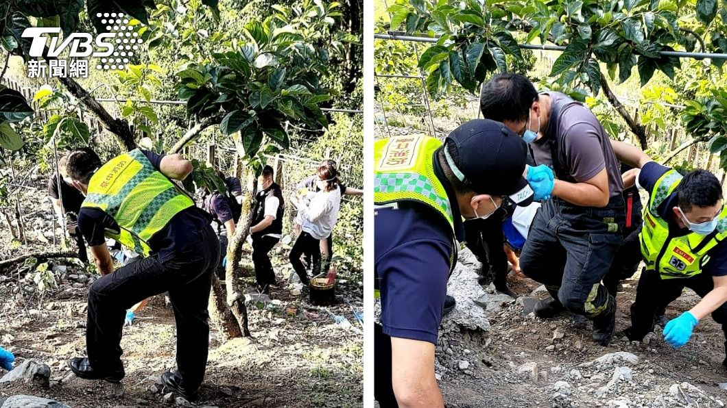 離奇!鐵網上驚見遺體 七旬獨居翁「倒栽蔥式」陳屍果園