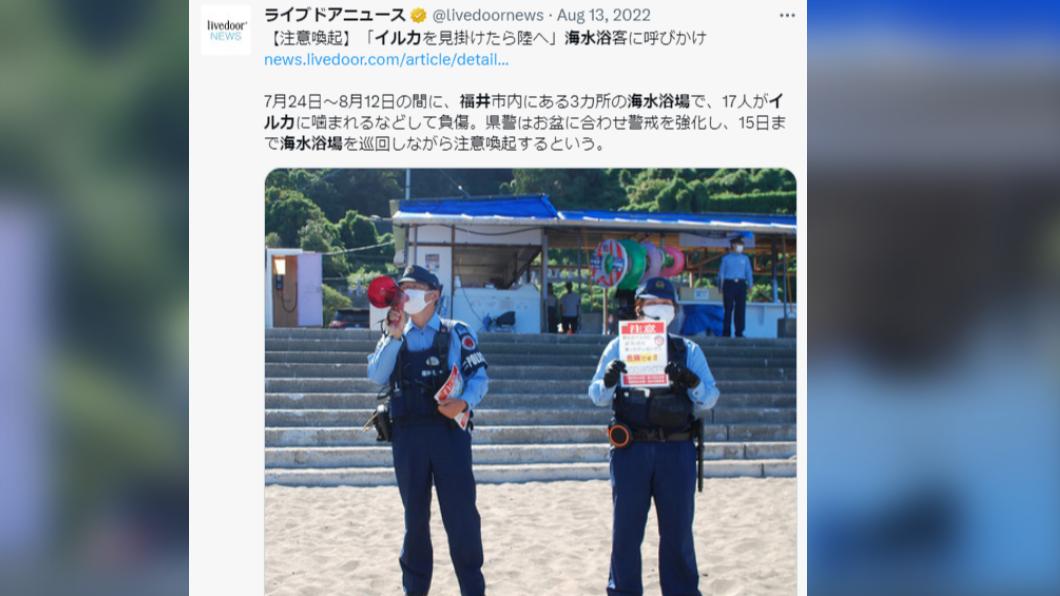日本警方去年在海水浴場呼籲民眾不要靠近海豚。(圖/翻攝自推特)