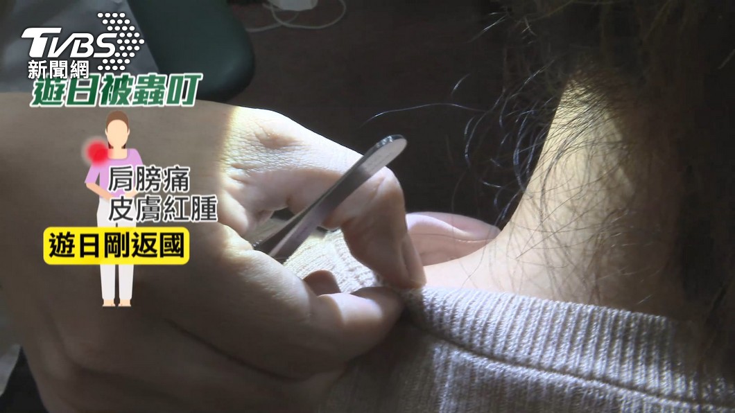 圖／TVBS 
