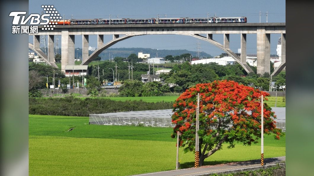 三義鯉魚潭鐵路橋鳳凰花開 景色優美