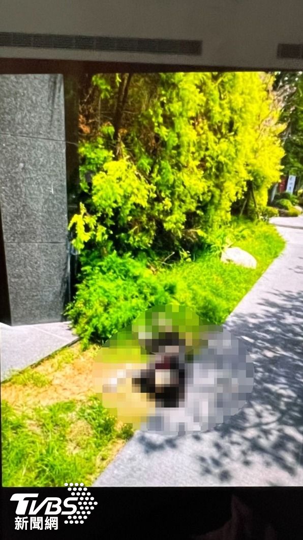 高中生陳屍草皮上。(圖/讀者提供)
