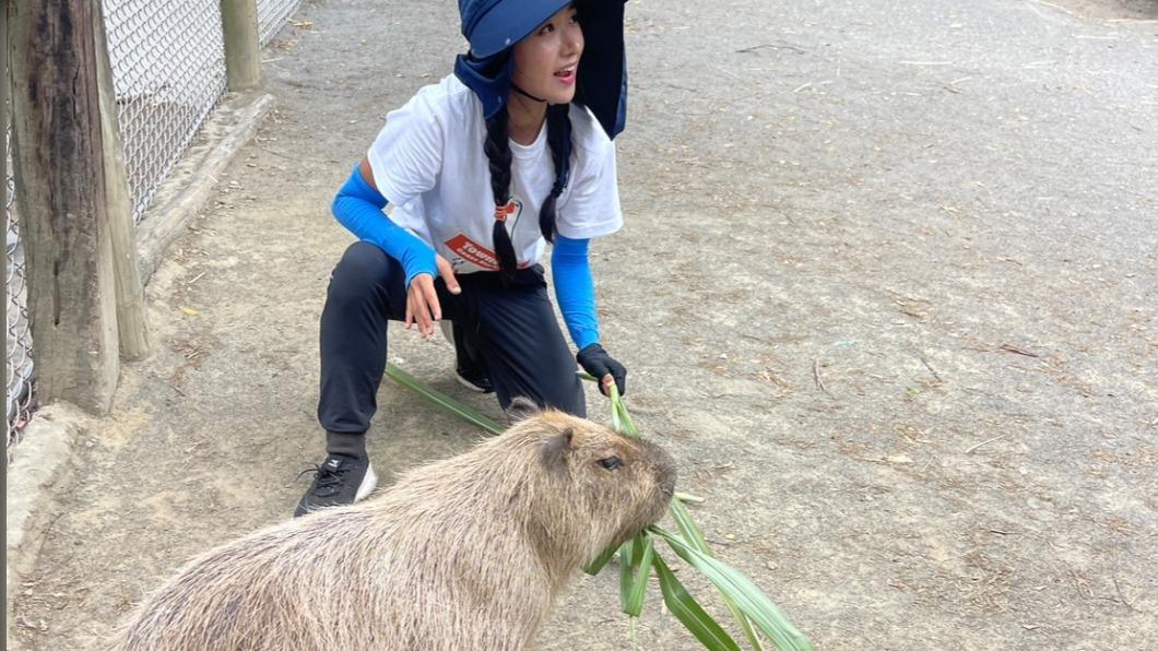 企鵝妹玩遍頑皮世界 「徒手抓蟲」餵食畫面網嚇壞:太狠了