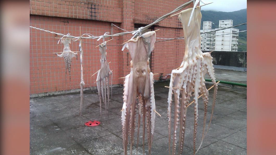 網友驚見有人曬章魚。(圖/翻攝自《路上觀察學院》臉書)