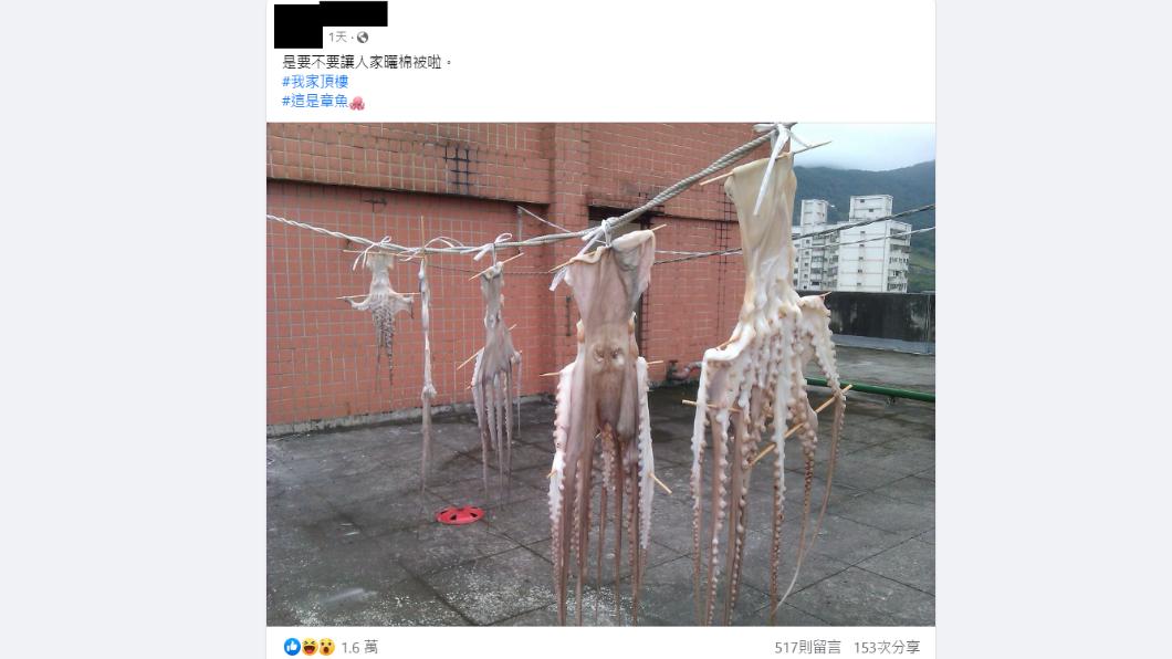 網友PO出晾章魚的照片。(圖/翻攝自《路上觀察學院》臉書)