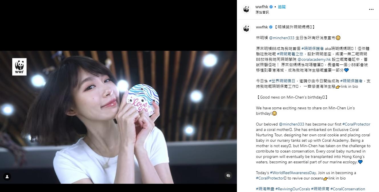 林明禎受邀擔任搶救珊瑚礁活動的「珊瑚媽媽」。(圖/翻攝自自然基金會香港分會IG)
