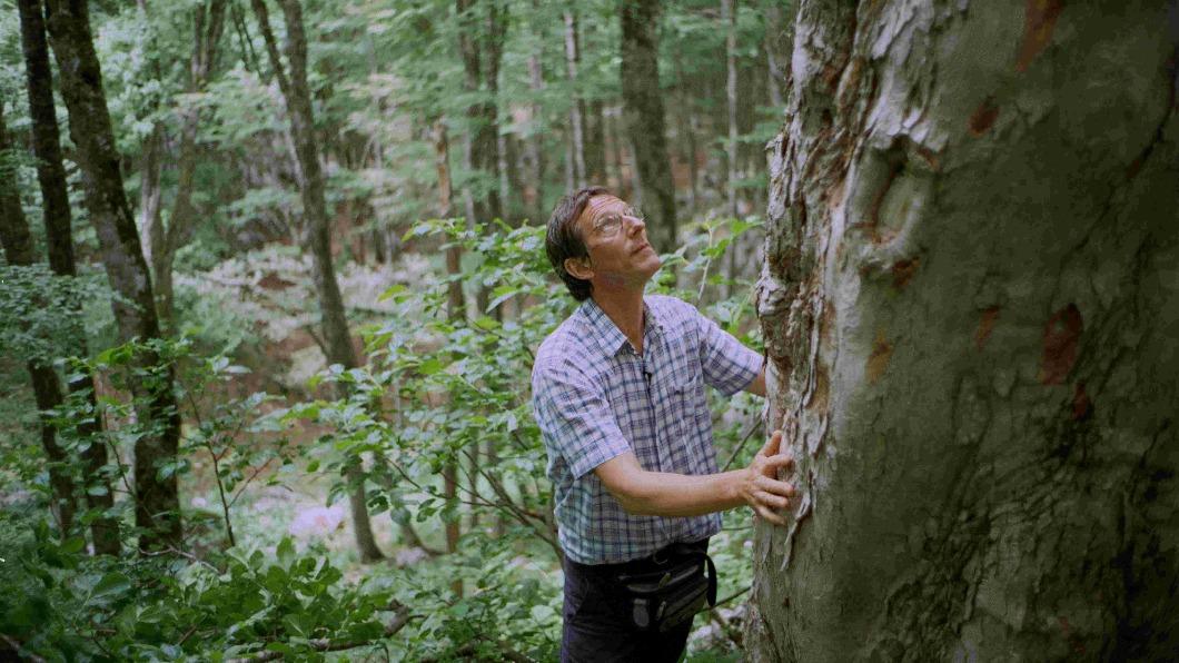 製琴大師橫越「地雷」森林！　親赴歐洲火藥庫找造琴良木