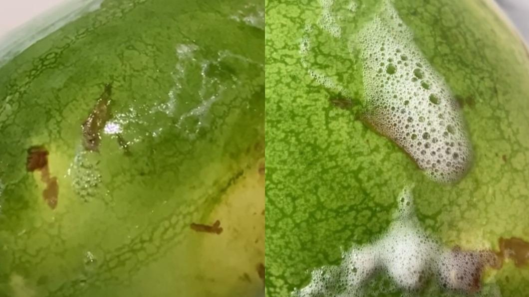 好市多西瓜吐泡泡!過來人急勸「爆炸會很臭」:蛆都知道要逃