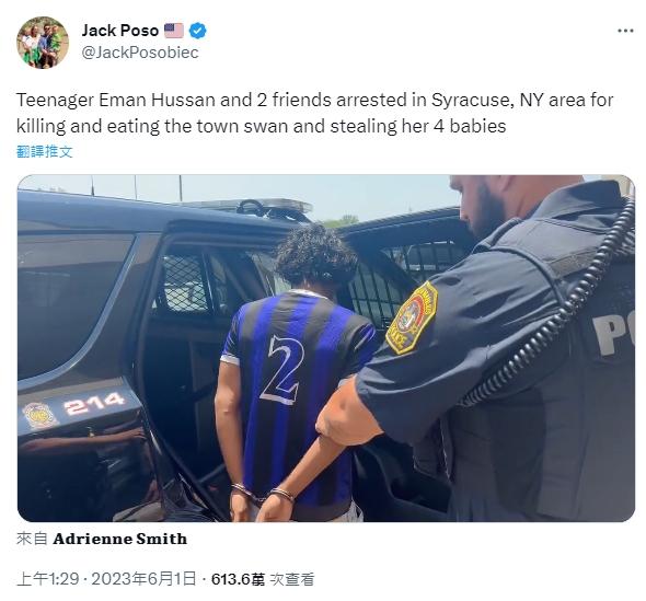 其中一名犯案少年被帶上警車。(圖/翻攝自Jack Poso 推特 @JackPosobiec)