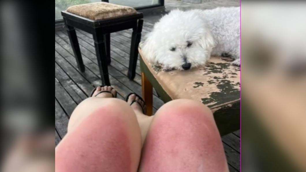 王女和愛犬走失很著急。(圖/翻攝自微博)