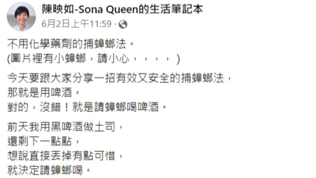 陳映如發文。(圖/翻攝自陳映如-Sona Queen的生活筆記本臉書)
