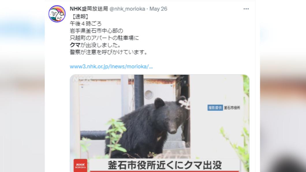 岩手縣近日野生熊頻繁出沒。（圖／翻攝自推特）