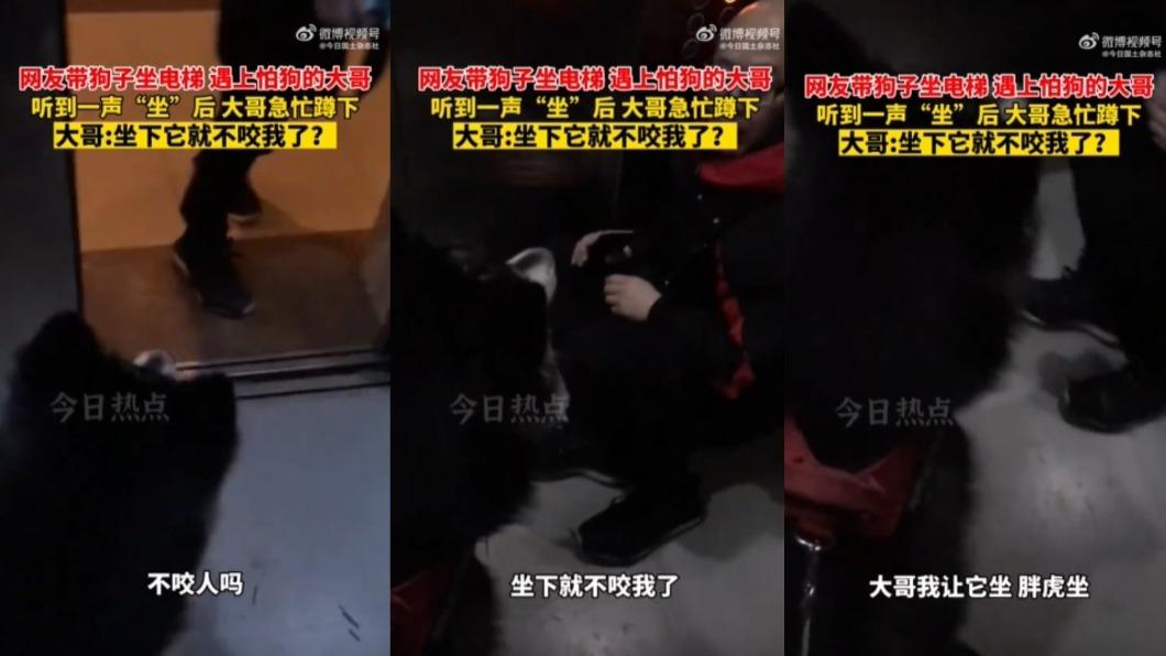 大哥因為怕狗而坐在電梯裡。(圖/翻攝自微博)