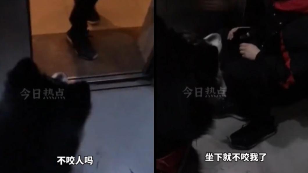 搭電梯嚇瘋!怕狗男聽「坐下」秒腿軟照做 狗狗看傻:汪?