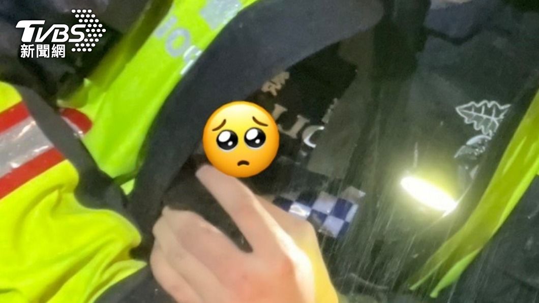 引擎傳來喵喵喵!小貓被警救出「依偎懷中」大眼回眸萌翻