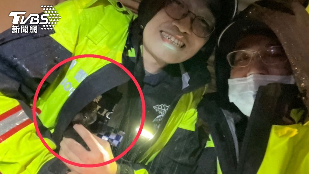 小黑貓依偎在員警懷中,模樣超可愛。(圖/TVBS)