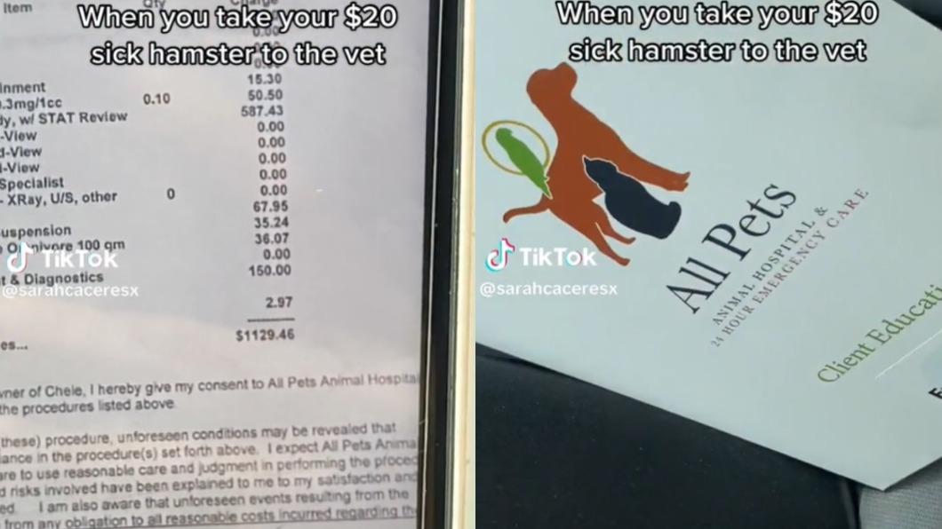 網友的倉鼠醫藥費達台幣34656元。(圖/翻攝自TikTok@sarahcaceresx)