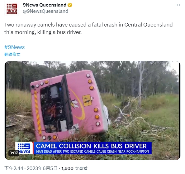 澳洲媒體公開事故現場畫面。(圖/翻攝自9News Queensland 推特 @9NewsQueensland)