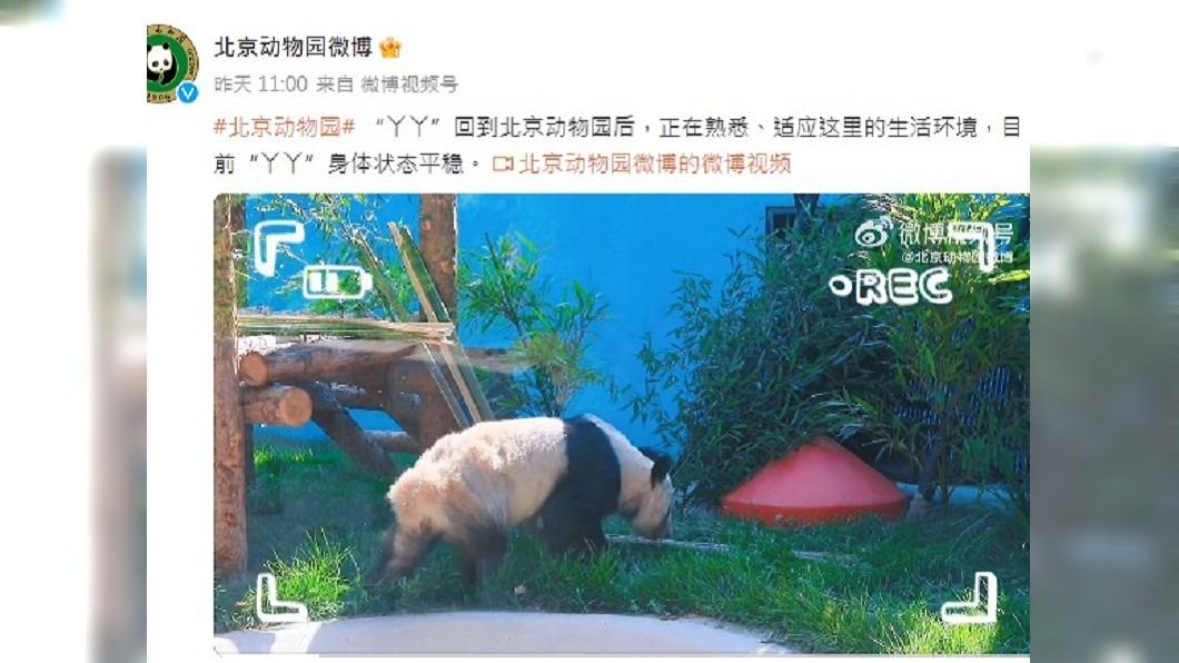 (圖/翻攝自微博)
