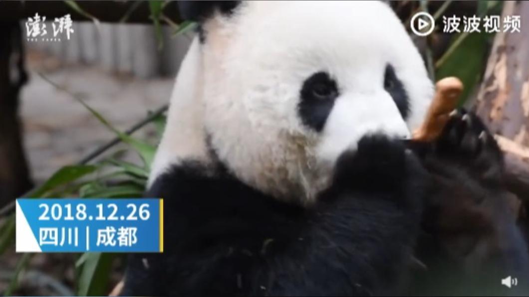 (圖/翻攝自微博)