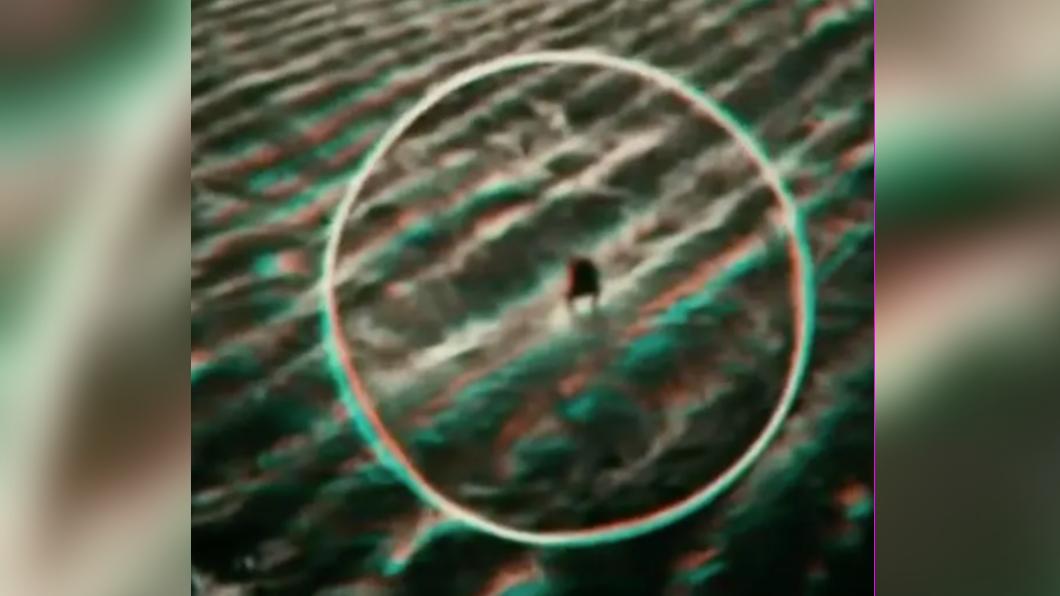 無人機拍到田野中出現一隻模糊、看似有如同人類雙腳的神秘生物。(圖/翻攝自《紐約郵報》)