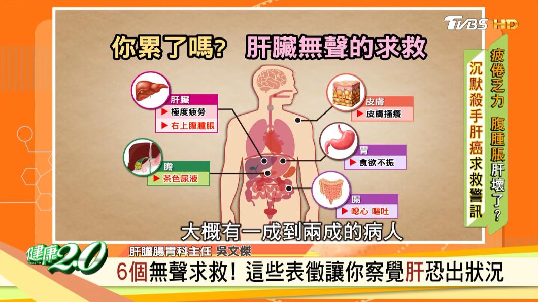 肝臟6大求救訊號。(圖/TVBS《健康2.0》)