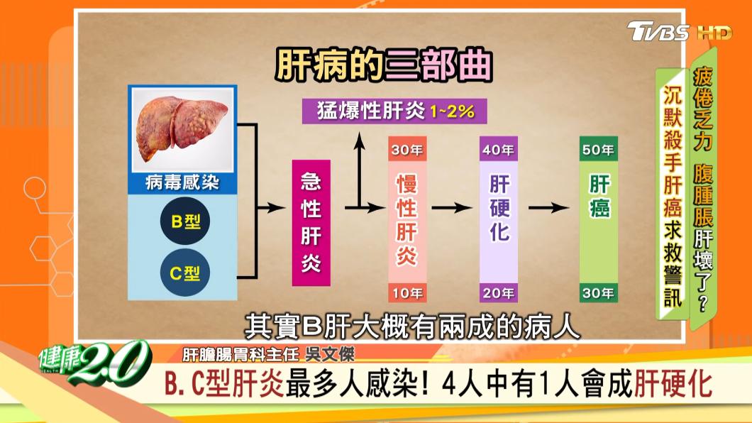 肝炎可能走向肝硬化、肝癌。(圖/TVBS《健康2.0》)