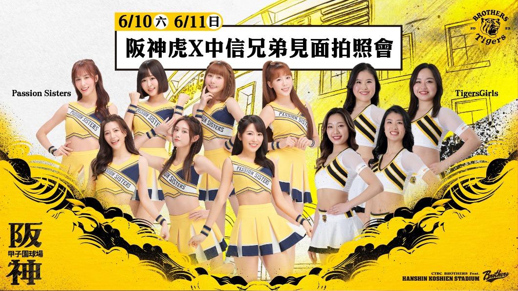 阪神日舉辦阪神虎與中信兄弟見面拍照會。(圖/球團提供)