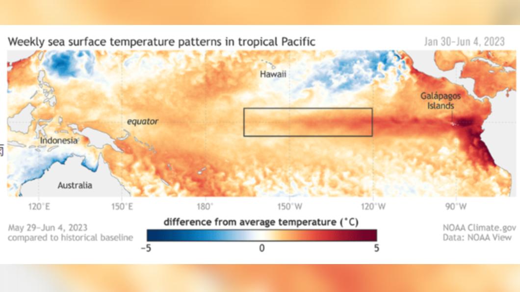 5月29日至6月4日，NOAA觀測的太平洋海水表面溫度。（圖／翻攝自NOAA官網）