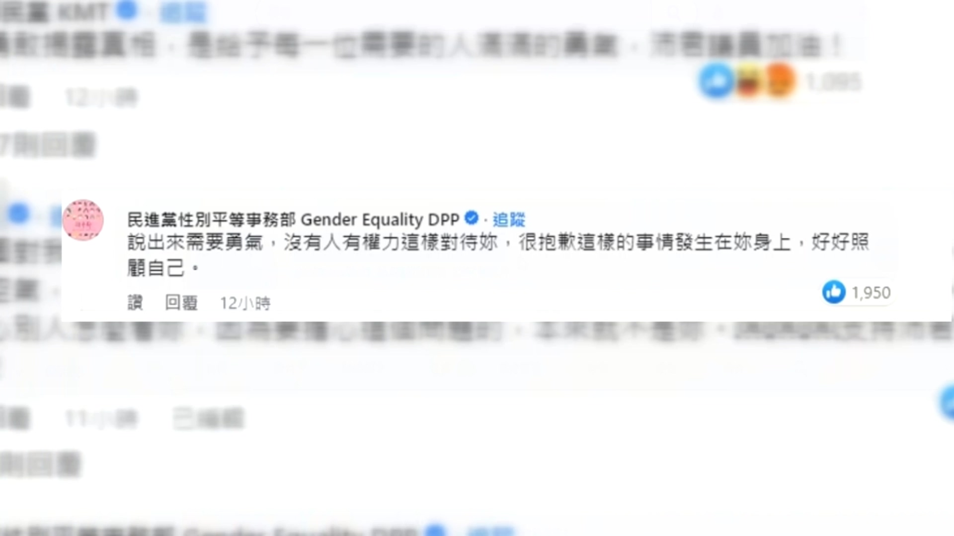 翻攝臉書／民進黨性別平等事務部