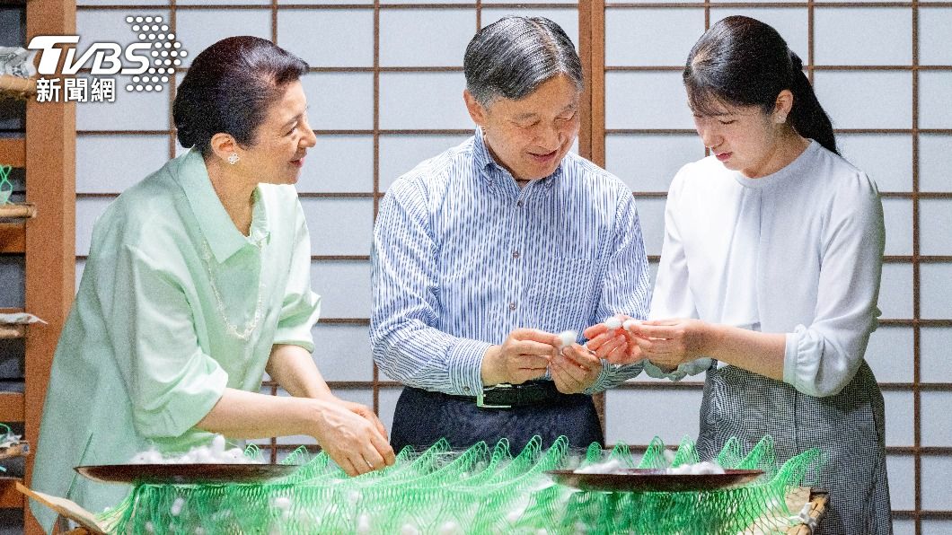 天皇一家在皇居的飼養設施進行收穫作業,是從稱作「蔟」(まぶし)的工具中取出蠶繭,進行「繭掃」(まゆかき),即蠶繭的採收。(圖/達志影像路透社)