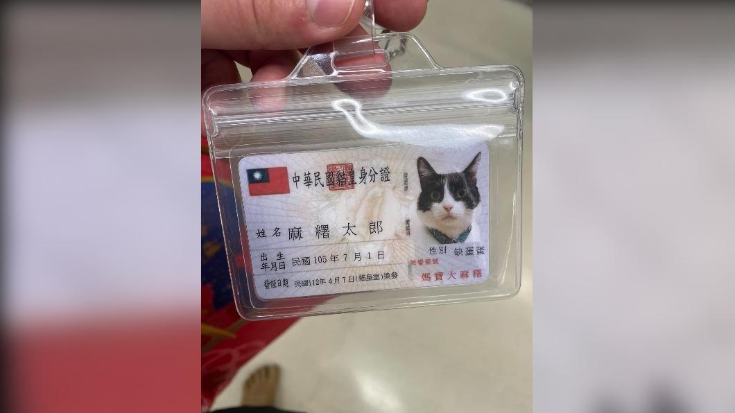 悠遊卡上照片的主角,是名叫「麻糬太郎」的貓咪 。(圖 / 翻攝自臉書社團貓咪也瘋狂俱樂部 CrazyCat club )