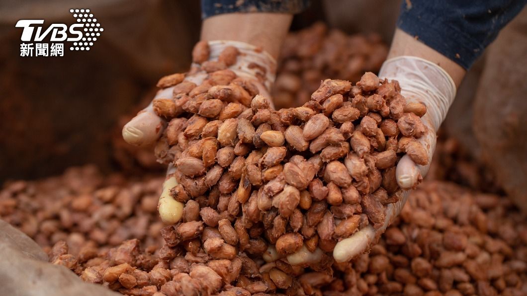 可可豆產量銳減,衝擊市場供給。(示意圖/達志影像shutterstock)