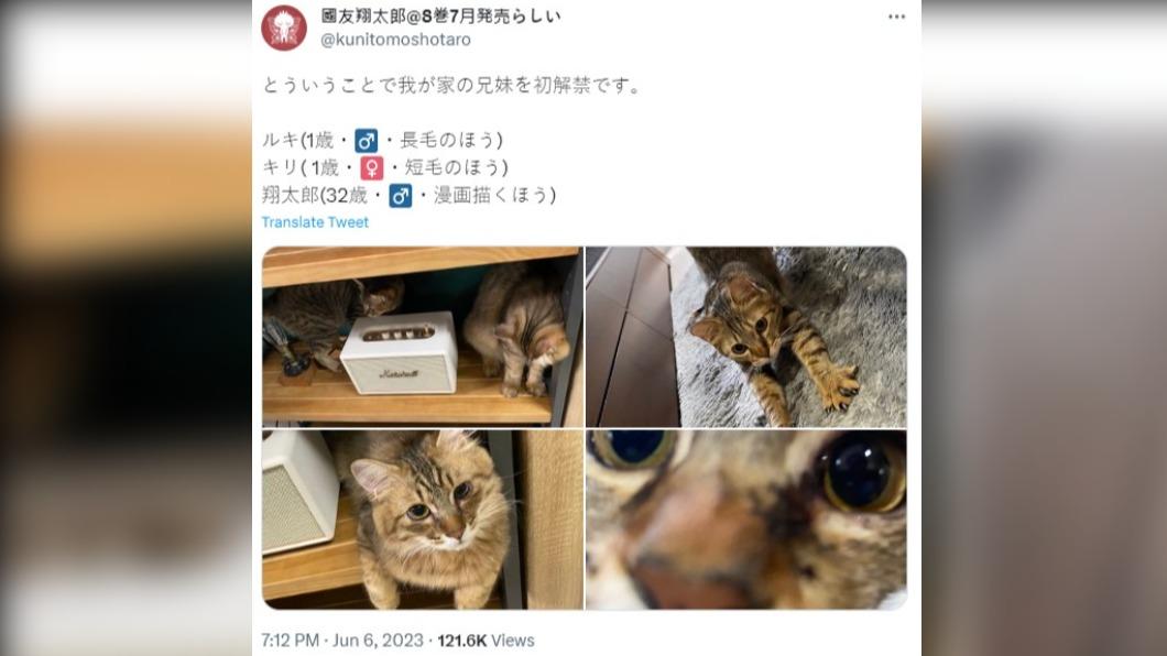 國友翔太郎再領養兩隻流浪貓。（圖／翻攝自＠kunitomoshotaro推特）