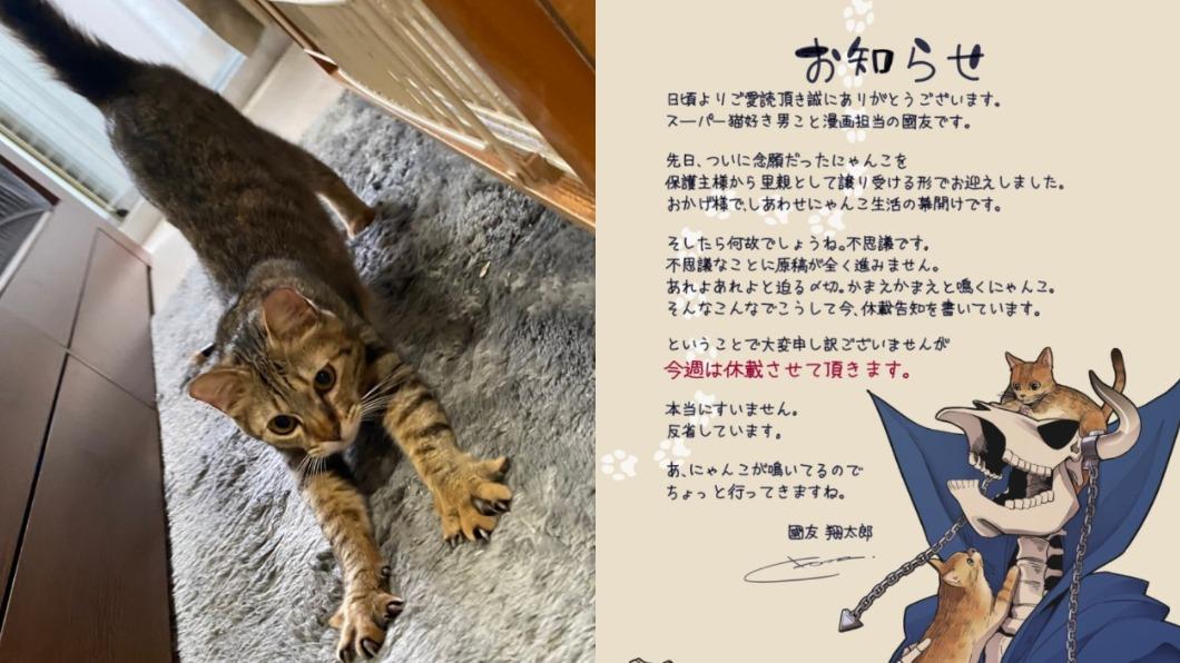 日漫畫家突休刊!稱「想好好陪貓」 網一面倒給過:這真沒辦法