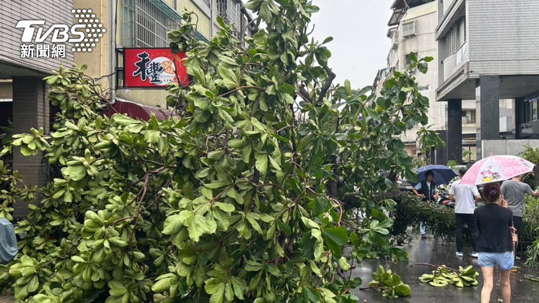 疑似因午後大雨過後導致樹木倒塌。（圖／警方提供）