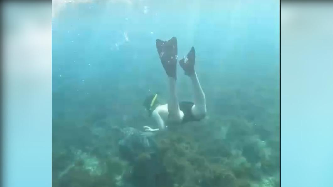 潛客尾隨海龜。(圖/翻攝自小琉球聯盟)