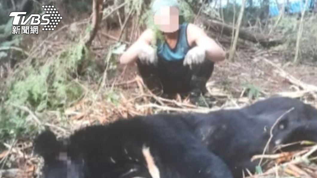 曾「獵殺分食」台灣黑熊!山老鼠首領失聯 驚染新冠陳屍山區