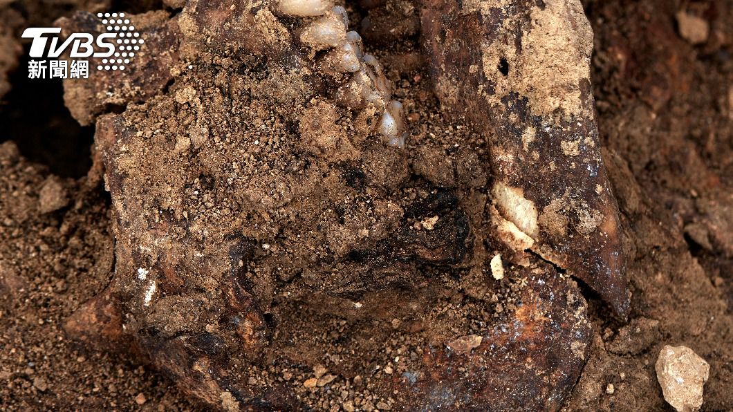 防死後復活!亂葬崗出土450具「吸血鬼遺骸」 詭異死狀曝光