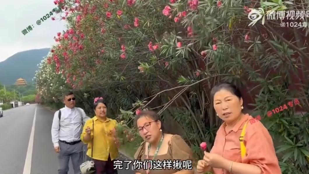 囂張！大媽「景區狂摘花」被勸阻　反嗆：花又不是你種的