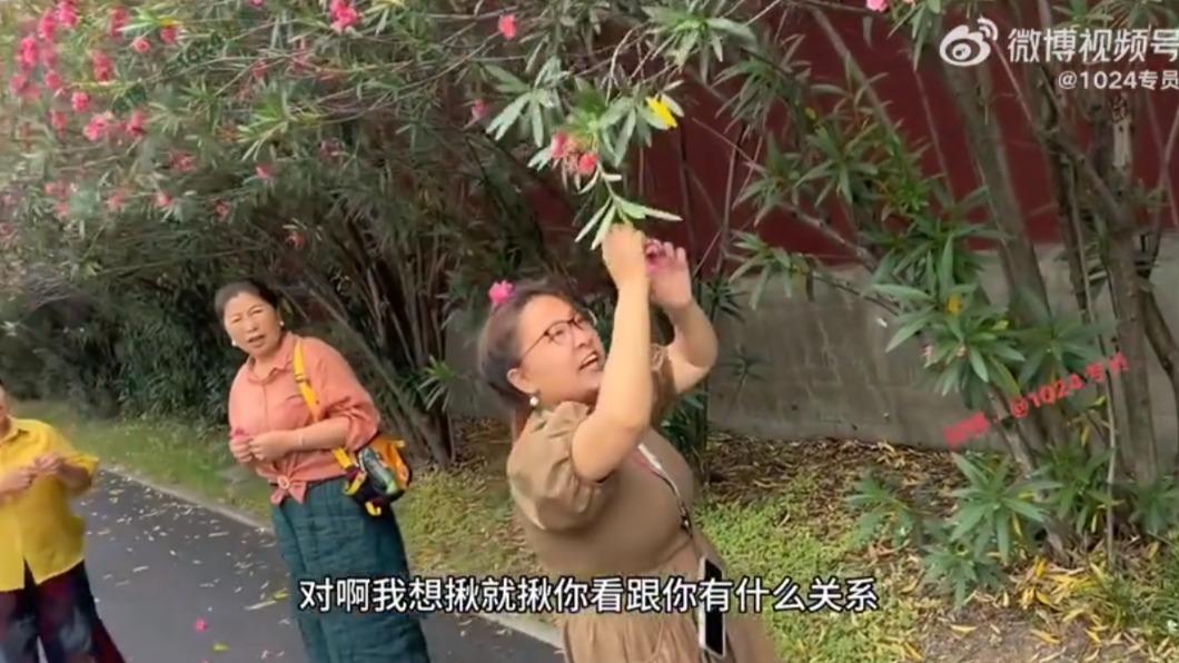 被管理員阻止後,大媽竟反嗆「花又不是你種的」。(圖/翻攝自「1024專員」微博)