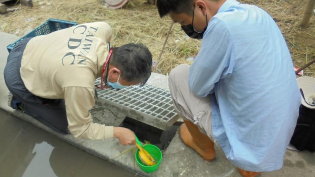 端午出遊注意!台南一週增16例登革熱本土 常見5症狀曝