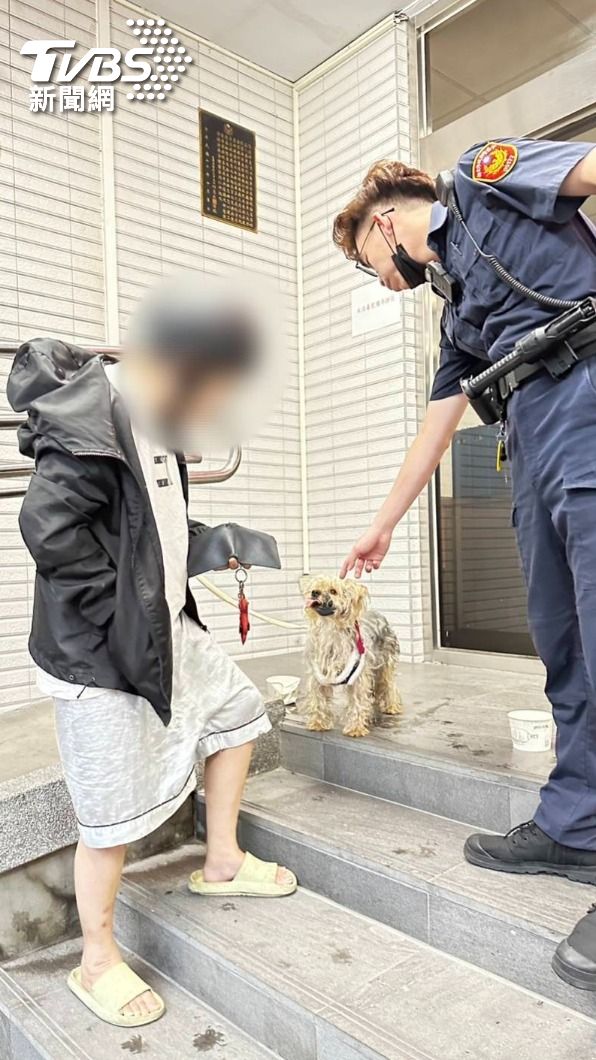 飼主表示因室友開門時沒注意,才讓愛犬逃家。(圖/TVBS)