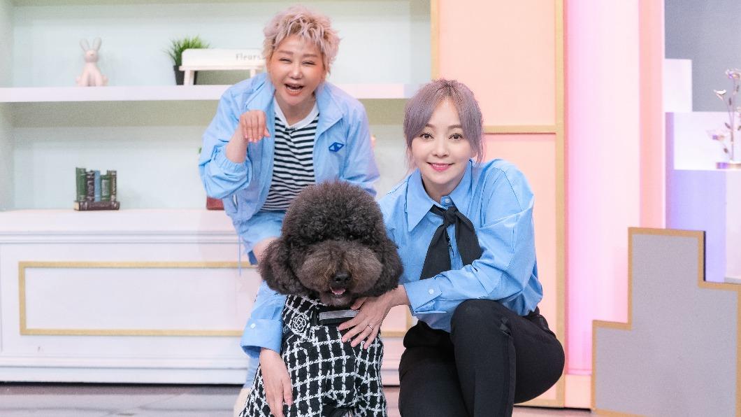 季芹人美心美！　見5歲病犬冒「口腔腫瘤」堅持領養：是乖孩子