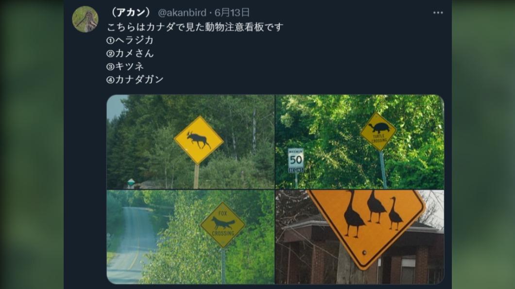 飛鼠告示牌引發熱議，日本網友也分享加拿大的告示牌。（圖／翻攝自推特@akanbird）