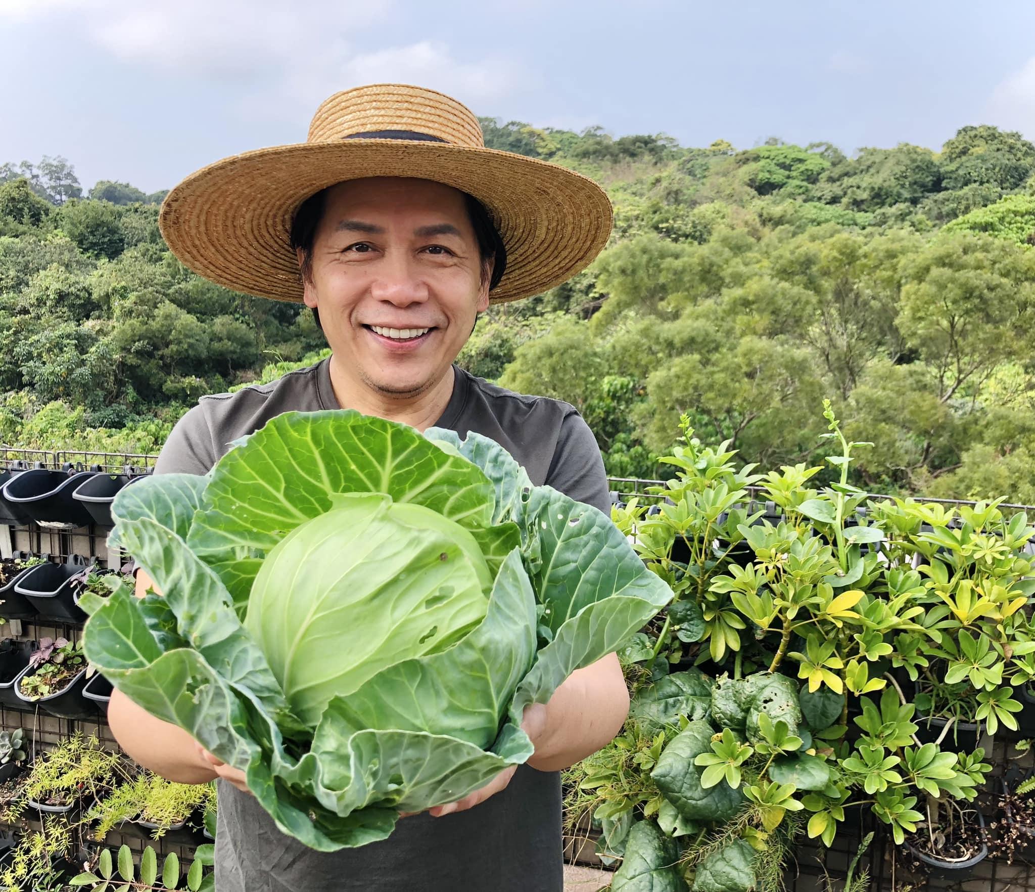 許傑輝會在家中種菜。(圖/翻攝自許傑輝臉書)