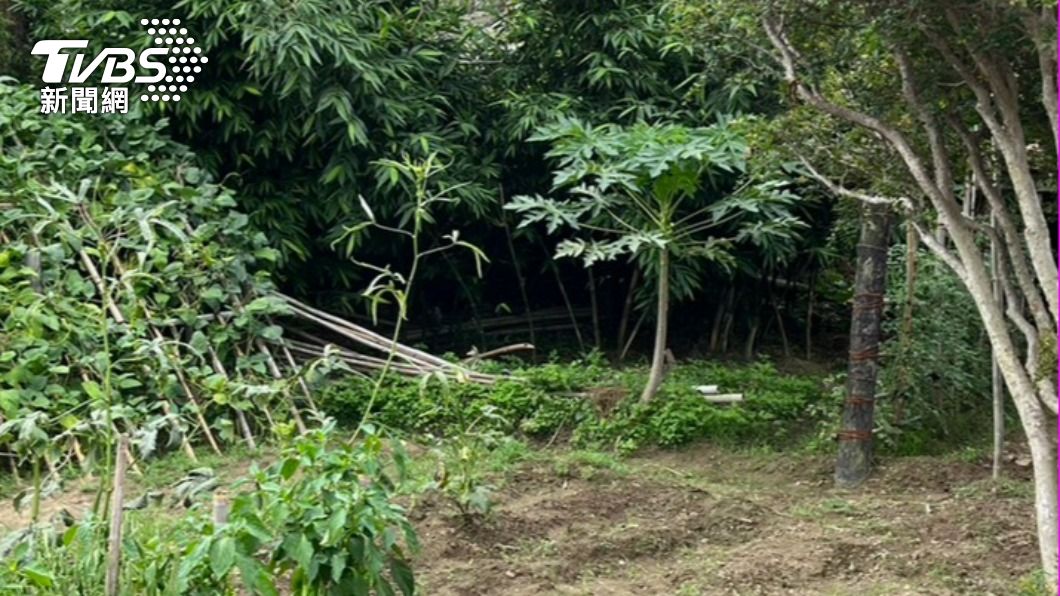 以為是石頭!農民上山採筍竟「挖出白骨」 死者身分驚曝