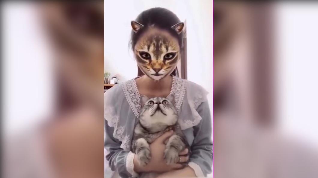 一名飼主大玩特效，嚇的貓咪不知所措。（圖 / 翻攝自微博）