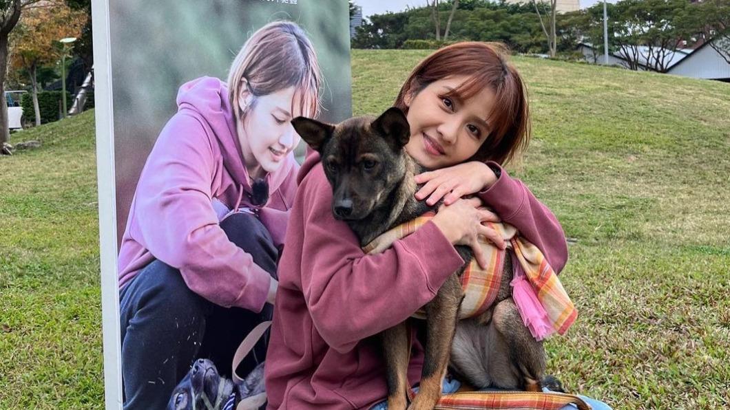 李宣榕在《TOP DOG回家》幫助毛小孩米妮找到溫暖的家。（圖／福茂唱片提供）