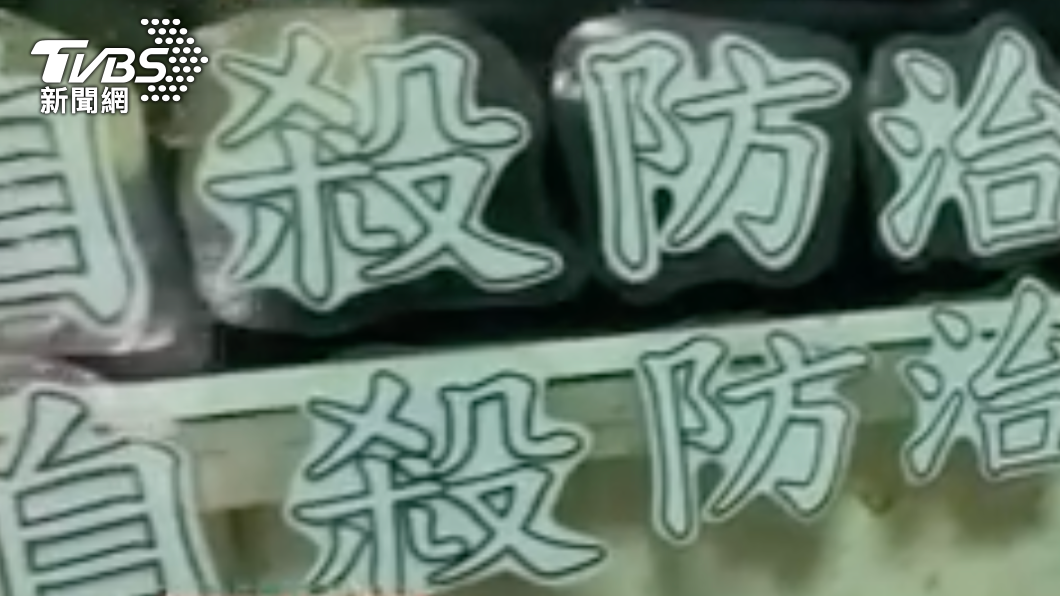 台灣自殺防治學會理事長李明濱日前遭到離職員工指控疑似性騷。(圖/TVBS)
