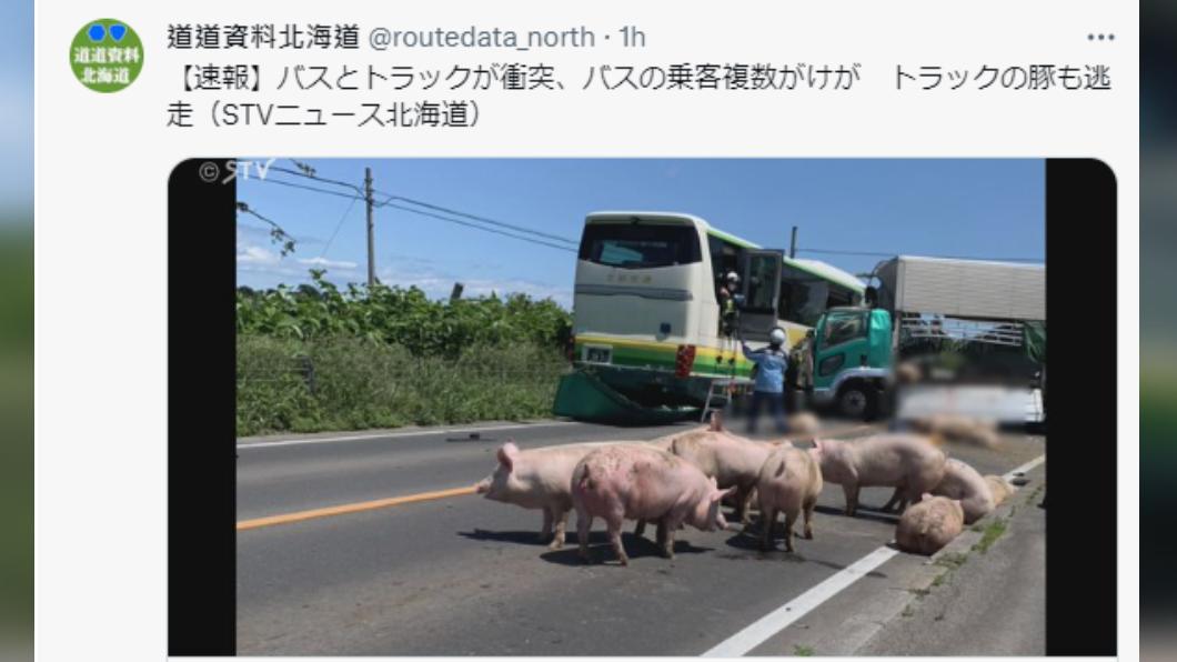 卡車上的豬隻跑到車道上。（圖／翻攝自推特）